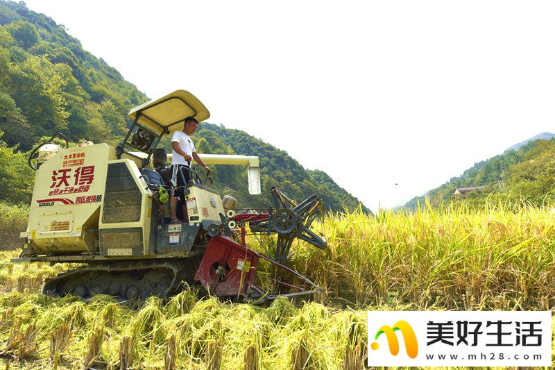 奮力譜寫貴州鎮遠經濟社會高質量發展新篇章(圖4) 奮力譜寫貴州鎮遠經濟社會高質量發展新篇章(圖4)